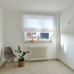 Rent 3 bedroom apartment in Beernem