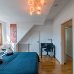 Rent 2 bedroom apartment of 70 m² in Berlin