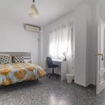 Alquilar 5 dormitorio apartamento en Granada
