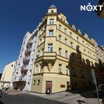 Rent 4 bedroom apartment in Karlovy Vary