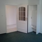 Rent 3 bedroom apartment of 100 m² in Liberec