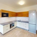 Rent 3 bedroom apartment of 83 m² in Beroun