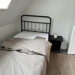Rent 2 bedroom apartment of 50 m² in Lübeck