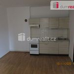Rent 3 bedroom apartment of 63 m² in Děčín