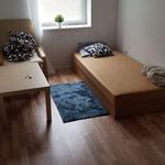 Rent a room in Katowice