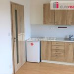 Rent 1 bedroom apartment of 28 m² in Opava