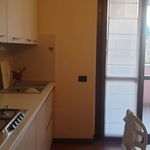 Rent 3 bedroom apartment of 118 m² in Lissone