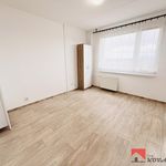 Pronajměte si 1 ložnic/e byt o rozloze 35 m² v Roudnice nad Labem