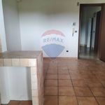 Rent 3 bedroom apartment of 70 m² in Ardea
