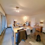 Rent 1 bedroom apartment of 71 m² in Sint-Truiden