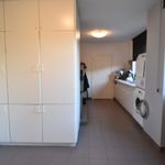 Maison de 350 m² avec 3 chambre(s) en location à Stekene