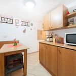 Affitto 1 camera appartamento di 61 m² in Roma