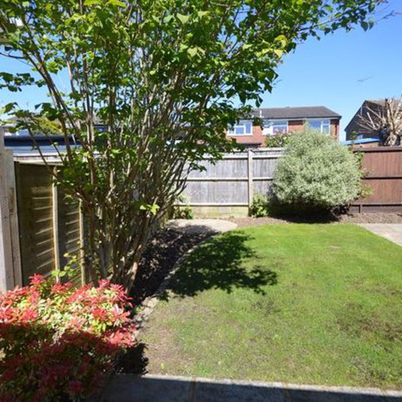 Bungalow to rent in Harebell Walk, Widmer End, High Wycombe HP15