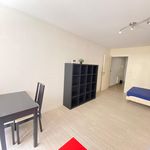 Appartement de 32 m² avec 1 chambre(s) en location à Grenoble