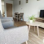 Appartement de 40 m² avec 1 chambre(s) en location à Armentières