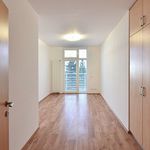 Pronajměte si 1 ložnic/e byt o rozloze 800 m² v Jáchymov