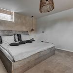 Huur 6 slaapkamer huis van 220 m² in Amsterdam