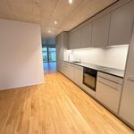 Rent 2 bedroom apartment in Wangen bei Olten