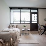 Rent 1 bedroom apartment of 24 m² in Ålesund