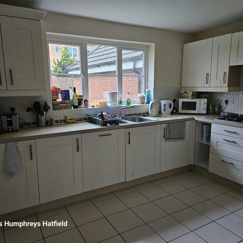 6 Bedroom Property For Rent in Hatfield - £3,600 pcm Ellenbrook