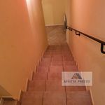 Rent 3 bedroom house of 150 m² in Camaiore