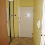 Rent 2 bedroom apartment of 47 m² in Lublin