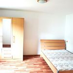 Rent 1 bedroom apartment of 29 m² in Chrudim