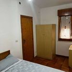 Affitto 3 camera appartamento di 50 m² in Scalea