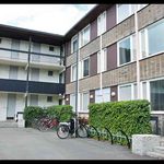 Rent 1 bedroom student apartment of 20 m² in Linköping