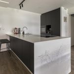 Rent 2 bedroom apartment of 97 m² in Maastricht