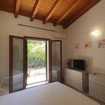 Rent 2 bedroom apartment of 78 m² in Roma