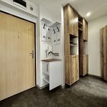 Rent 1 bedroom apartment of 40 m² in Karviná