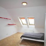 Rent 4 bedroom apartment of 155 m² in Prague