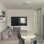 Rent 1 bedroom apartment of 90 m² in Velemín