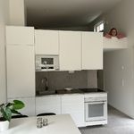 Rent 1 bedroom house of 30 m² in Svinninge