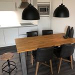Rent 1 bedroom apartment of 58 m² in Tilburg