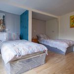 Rent 1 bedroom apartment in Lucan