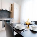 Rent 2 bedroom apartment of 51 m² in Vienna
