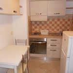Rent 1 bedroom apartment of 30 m² in Pontedera