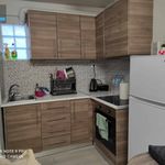 Rent 1 bedroom apartment of 30 m² in Patras