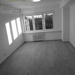Rent 1 bedroom apartment of 44 m² in Ostrava