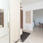 Rent 3 bedroom apartment of 51 m² in Lublin