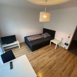 Rent 1 bedroom apartment of 26 m² in Karlsruhe