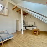 Rent 1 bedroom apartment of 77 m² in Ostrava