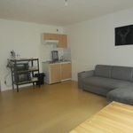 Rent 2 bedroom apartment of 420 m² in LE MANS