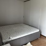 Pronajměte si 1 ložnic/e dům o rozloze 100 m² v Brno