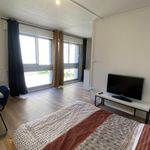 Appartement de 36 m² avec 1 chambre(s) en location à Saint-Nicolas-de-Port