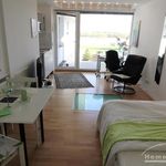 Miete 1 Schlafzimmer wohnung von 28 m² in Bonn