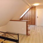 Rent 3 bedroom apartment of 140 m² in Číhošť