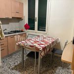 Affitto 4 camera appartamento di 100 m² in Pisa